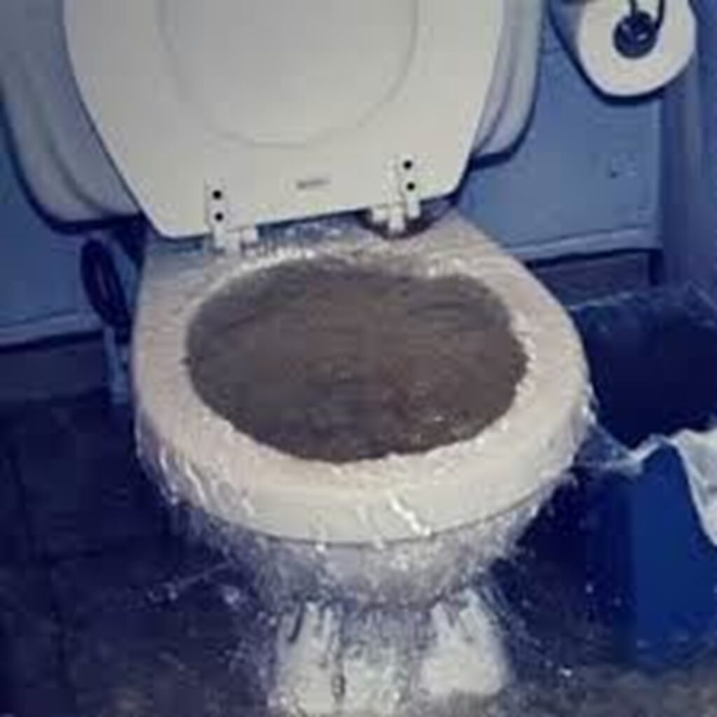 Débouchage wc GEST-CONECT spécialisé dans les travaux d’assainissement (6)